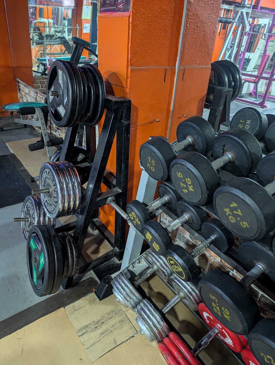 Ocean Gym (Jujitsu-Judo-Aikido) — photo 2