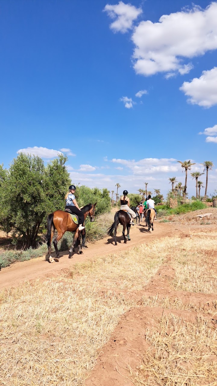Equestre Palmeraie - Cheval Marrakech