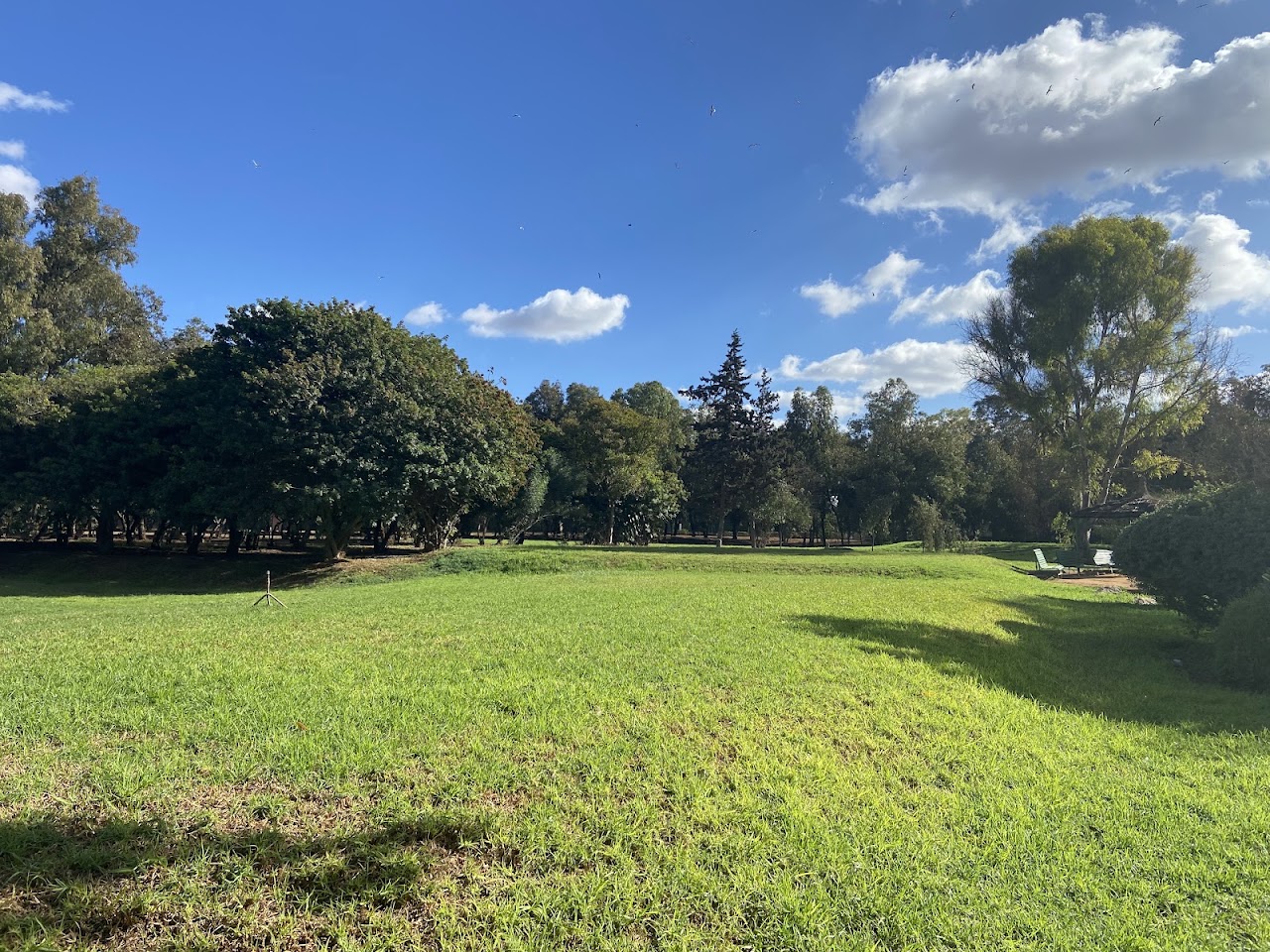 Omni Sport Club ben msick sidi othmane — photo 4