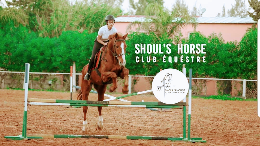 Shoul's Horse