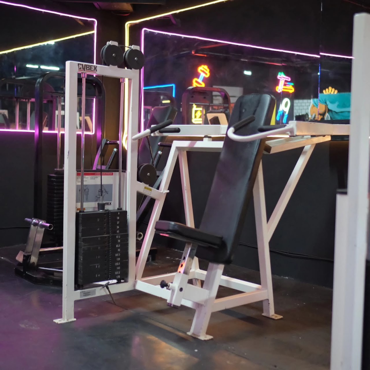 The Elite Fitness