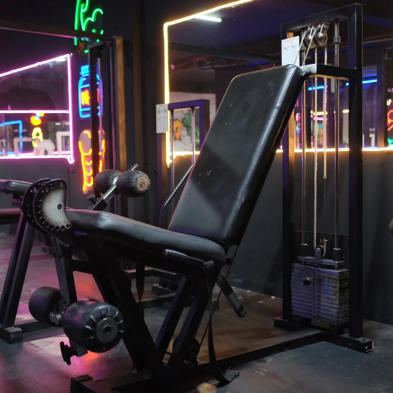 The Elite Fitness — photo 4