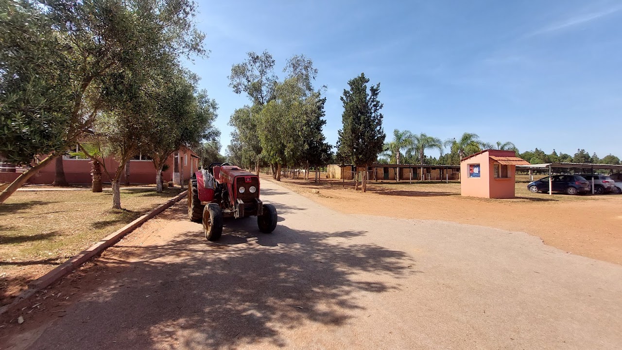 Royal Club Equestre Riyad Mohammedia — photo 3