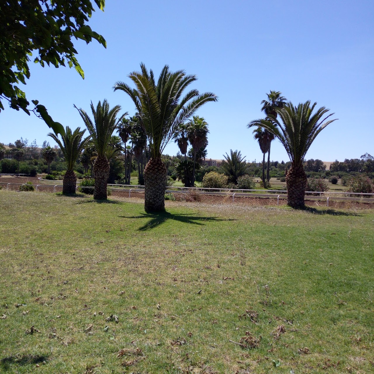 Settat University University Golf Course الغولف الملكي الجامعي