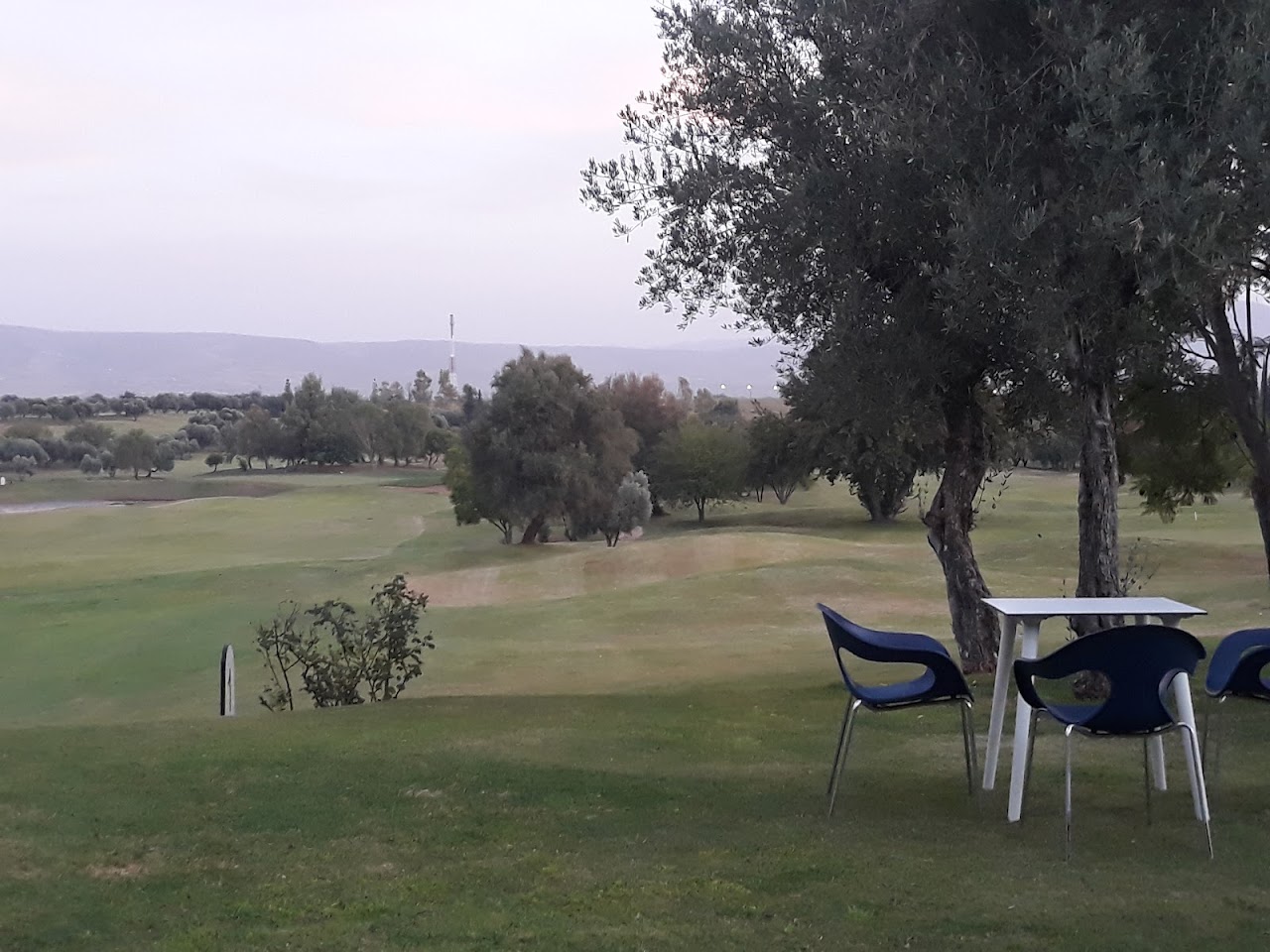 Pool of the Royal Golf Club of Fez — photo 4