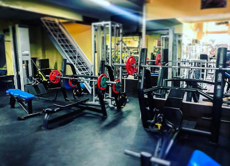 Roche Fitness — photo 4