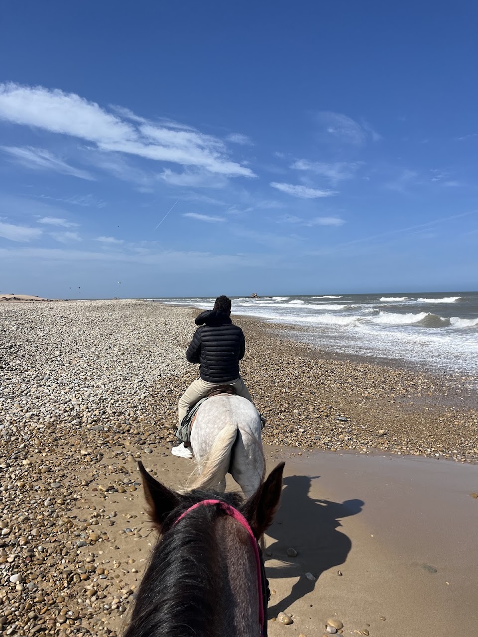 Mohammed - Simo • Horseriding Essaouira — photo 2