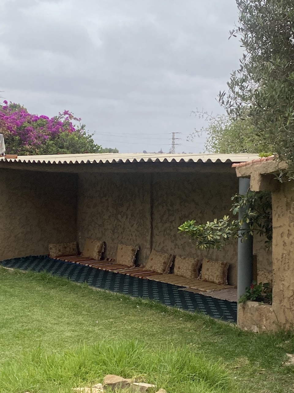 The ladies’ Farm — photo 3