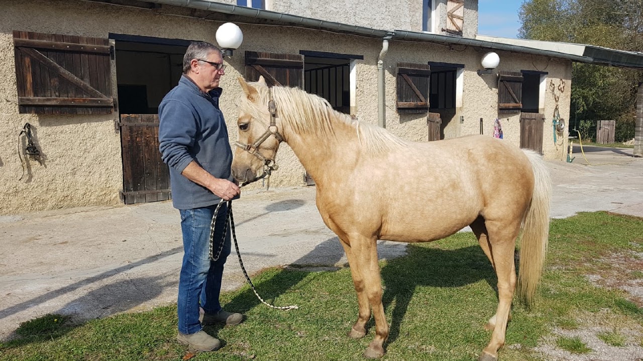 Pony Club De Rabat