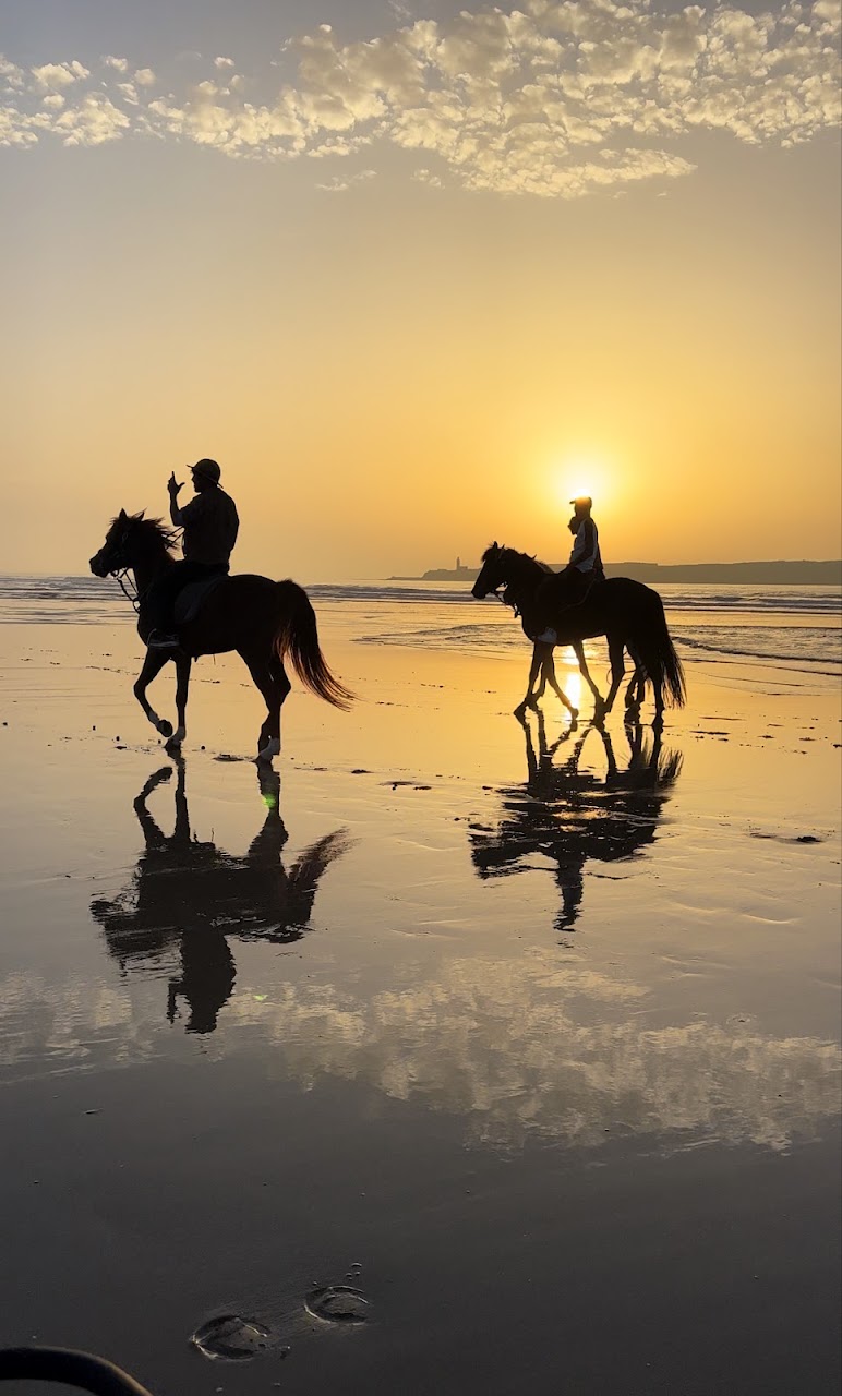 Les Cavaliers D'essaouira — photo 3
