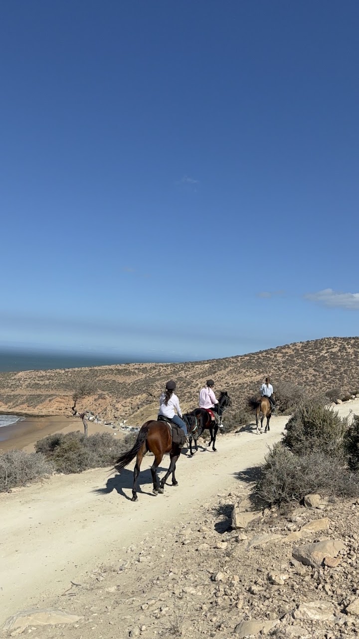 Horse Adventure Essaouira — photo 4