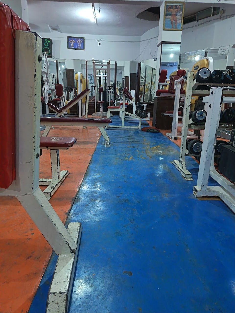 GYM Royal — photo 3