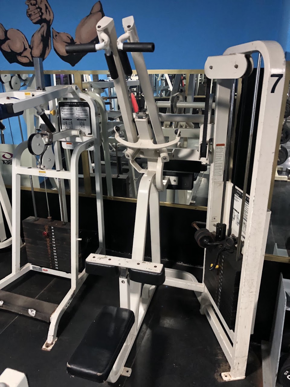 Salle de gym al manzah — photo 3