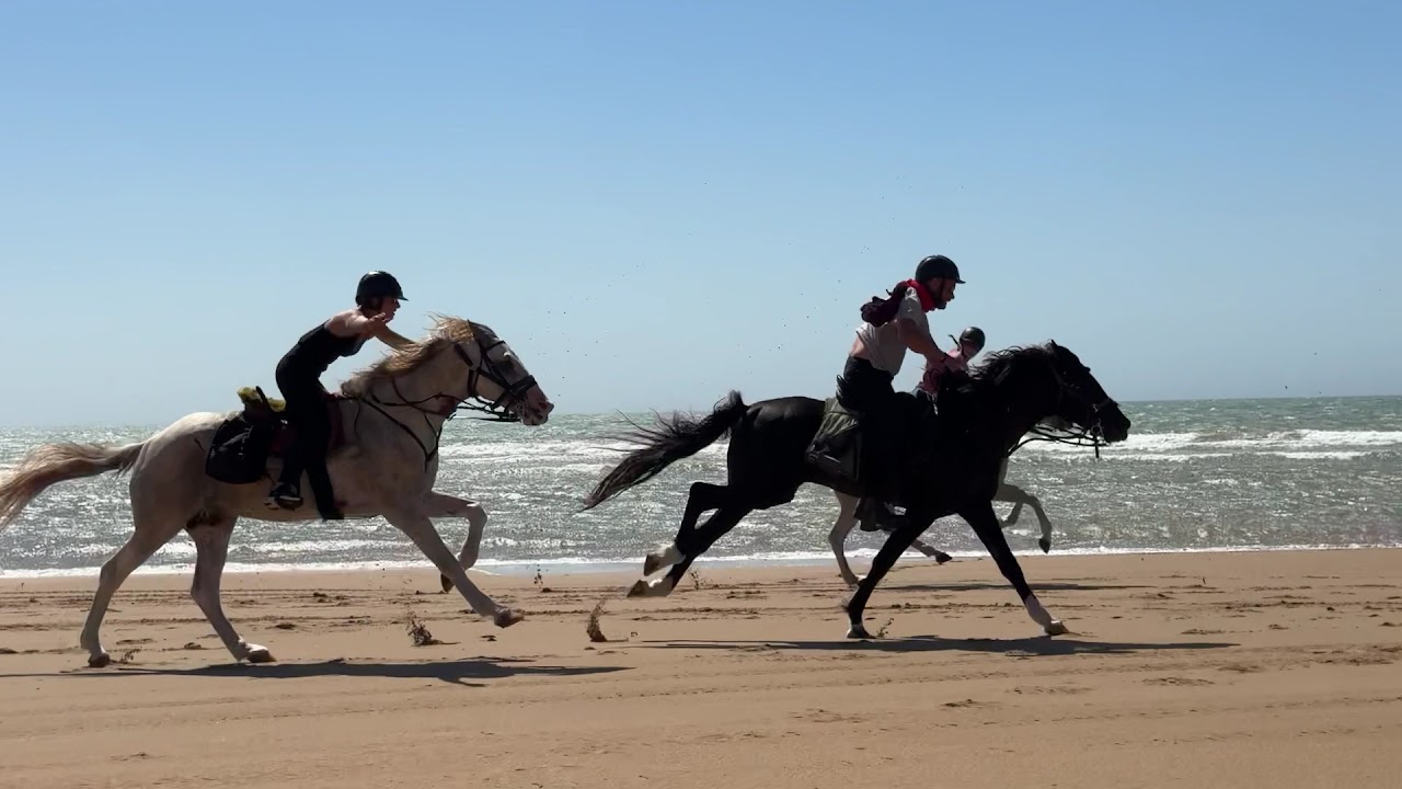 Yassine Cavalier — photo 2