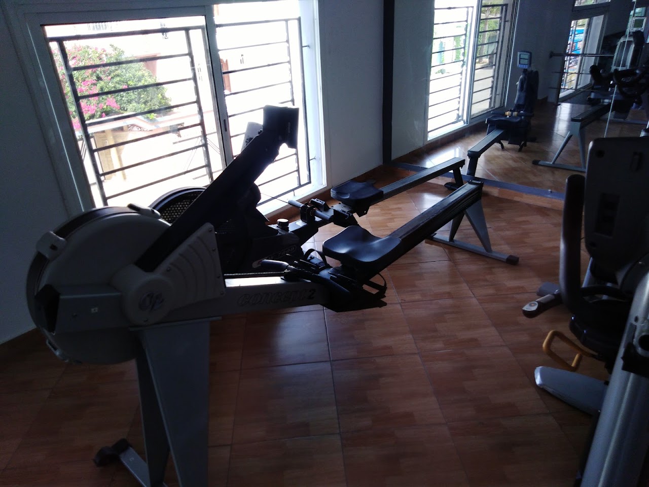 Golden Gym — photo 3