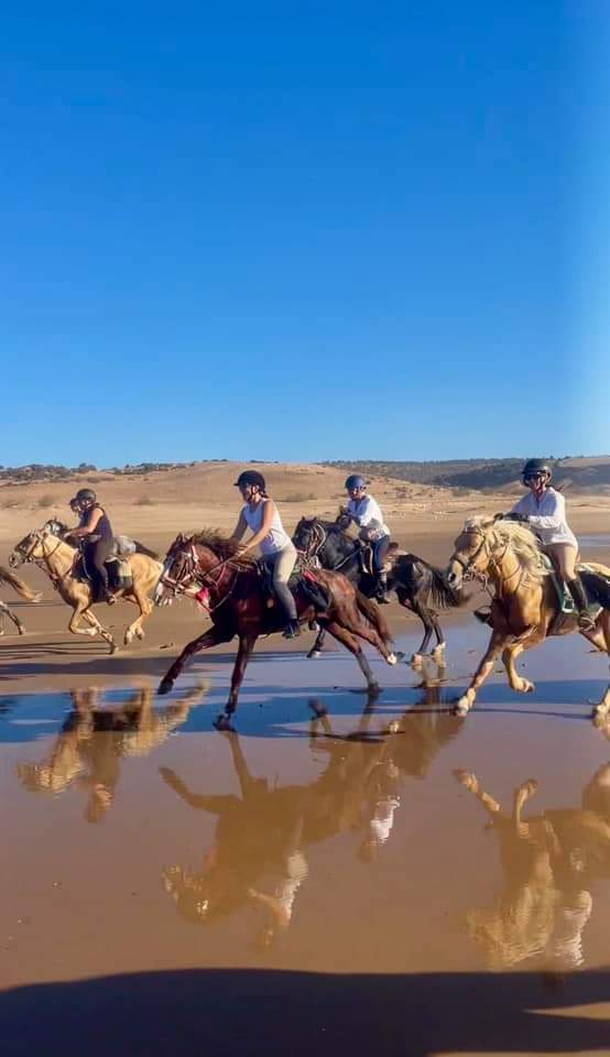 Stallion Adventures Travel
