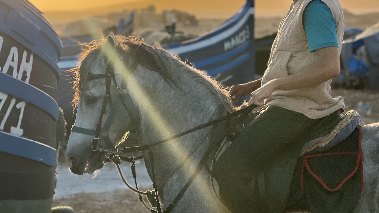 horse riding Sidi Kaouki (cheval)🐎🫶🏻