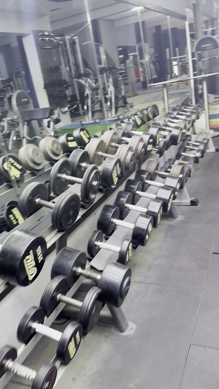 Musculation Fitness Pikarri — photo 2