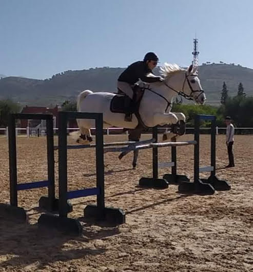 Club d'équitation — photo 2