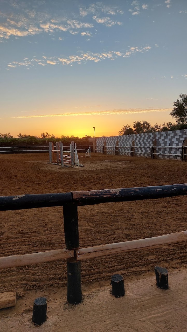 Club Ribat Al Khair D'équitation — photo 3