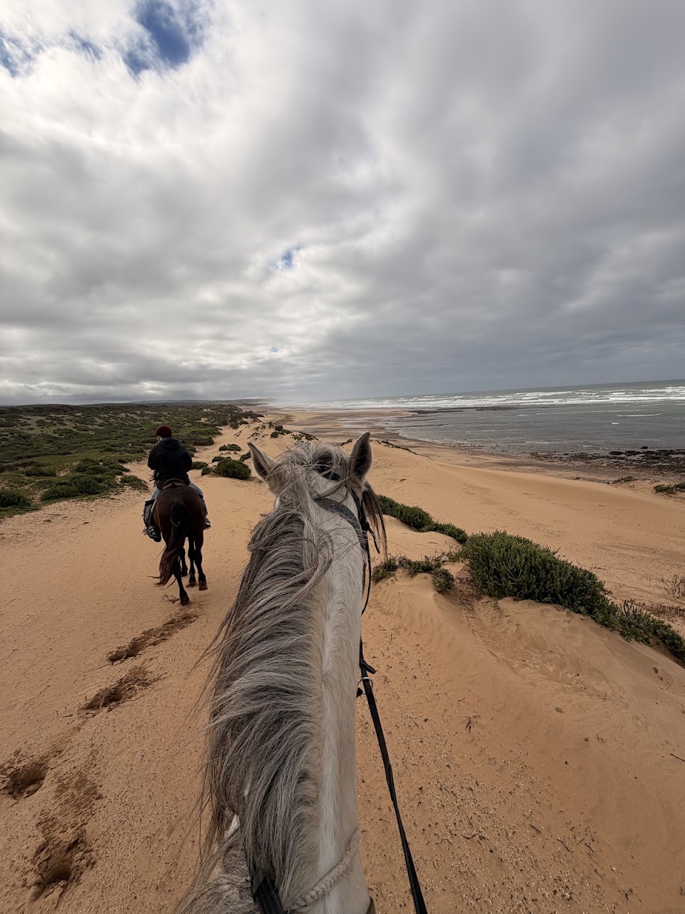 Horse riding with Dream Getaway Morocco