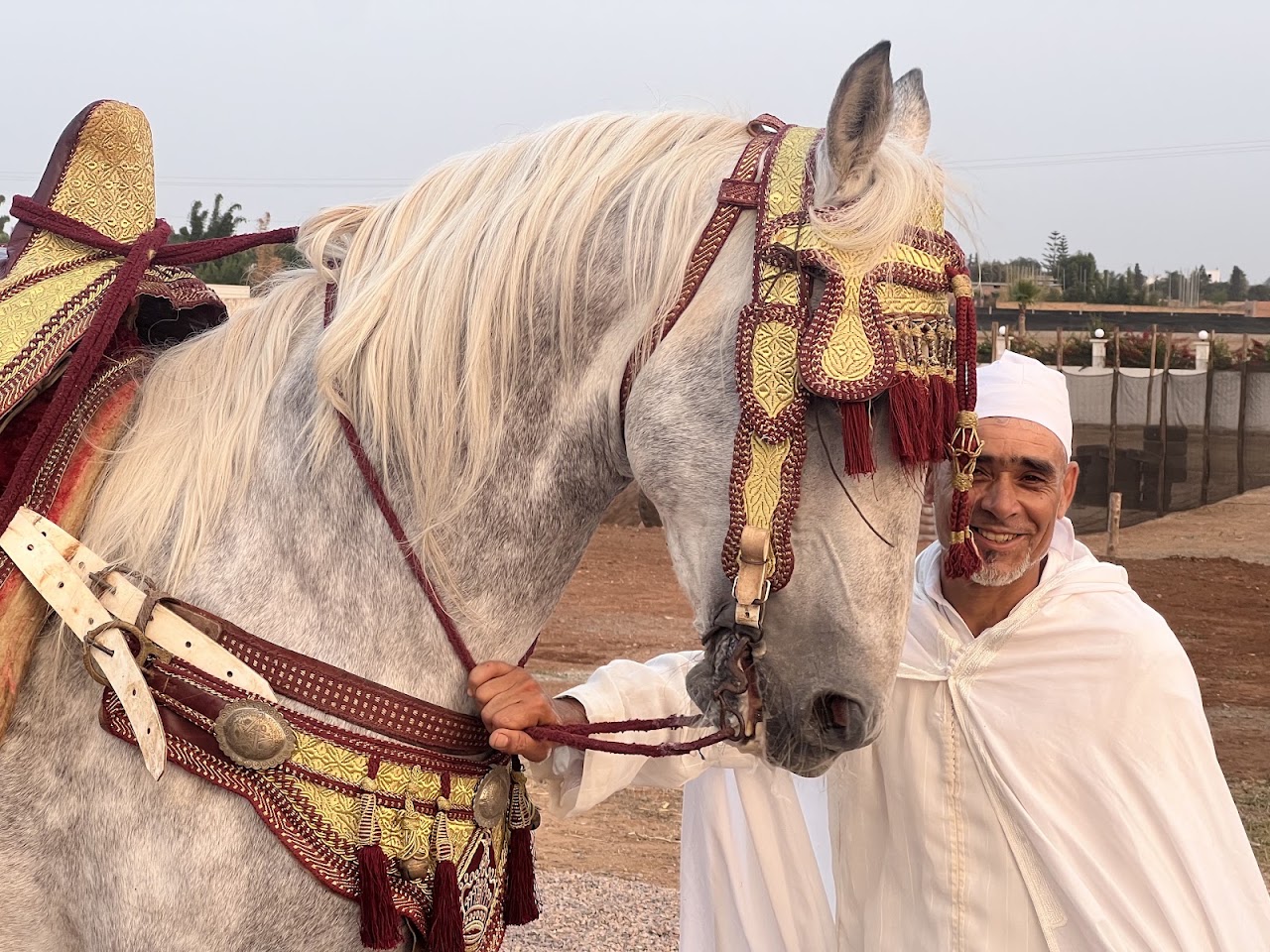 Harass Al Firdaous — photo 2