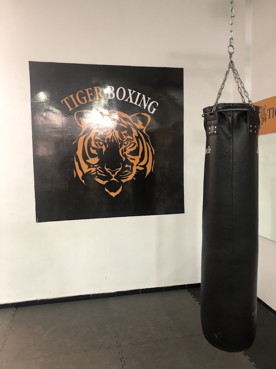 Tiger Boxing — photo 4