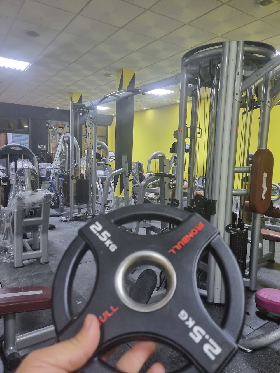 BATAL Fitness & Bodybuilding — photo 4