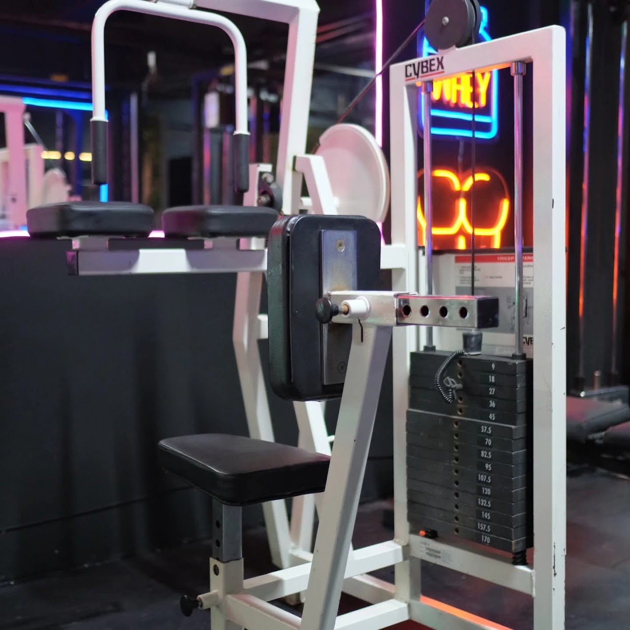 The Elite Fitness — photo 2