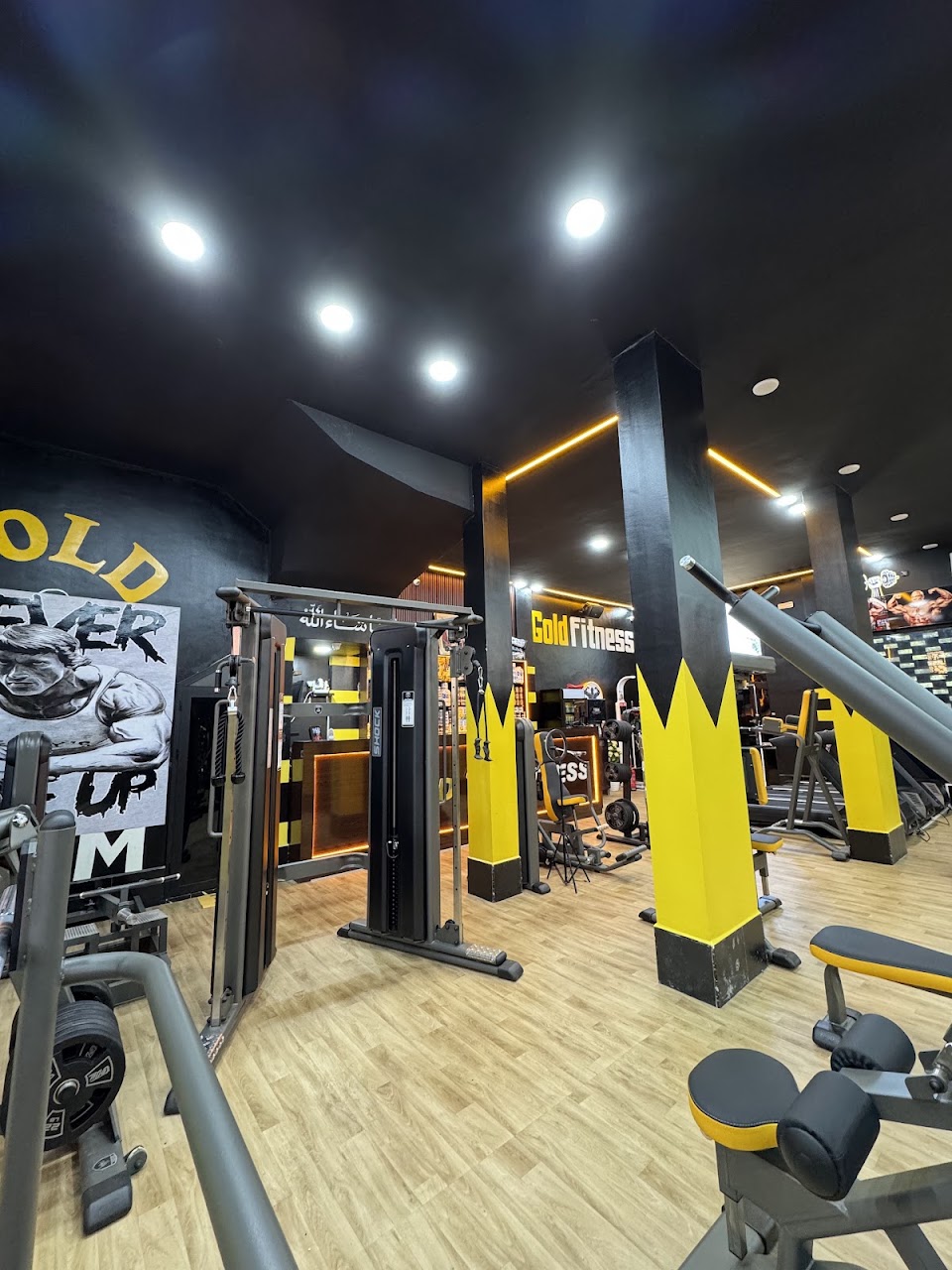 Gold Fitness
