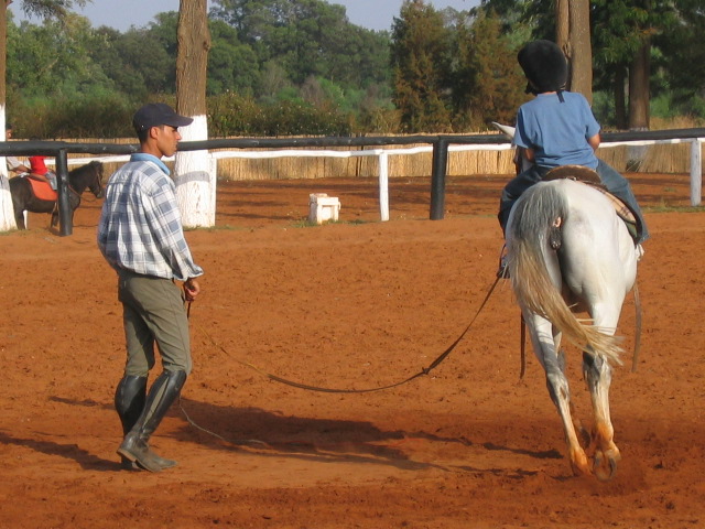 Royal Equestrian Club: — photo 2