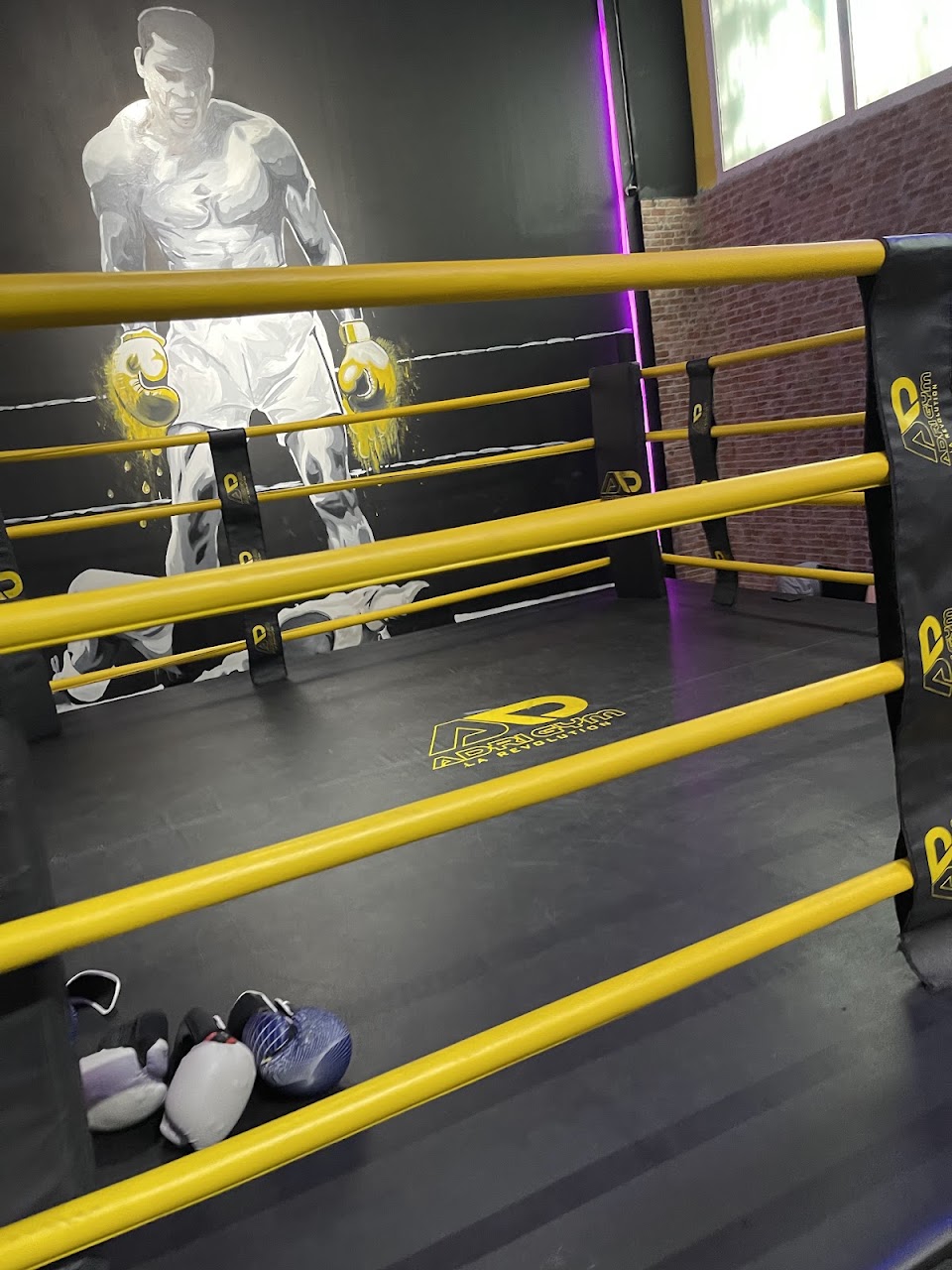 Adrigym آدغي جيم — photo 4