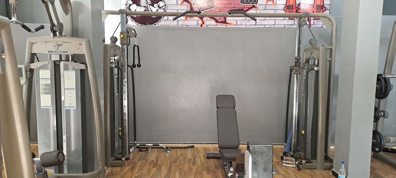 Golden Gym — photo 3