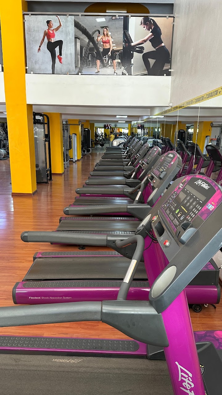 club gold star — photo 2