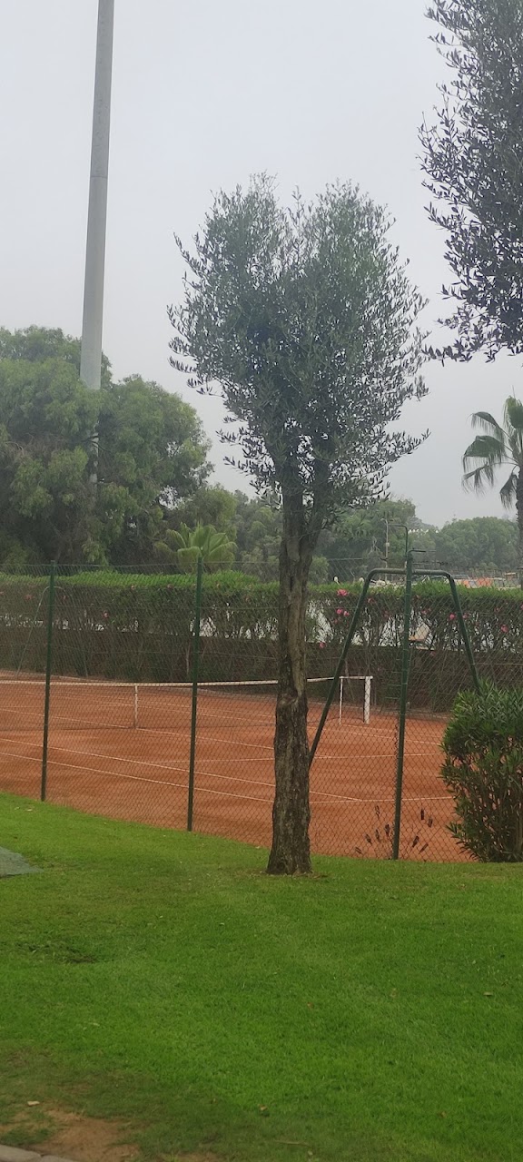 Tennis Agadir Coach — photo 3
