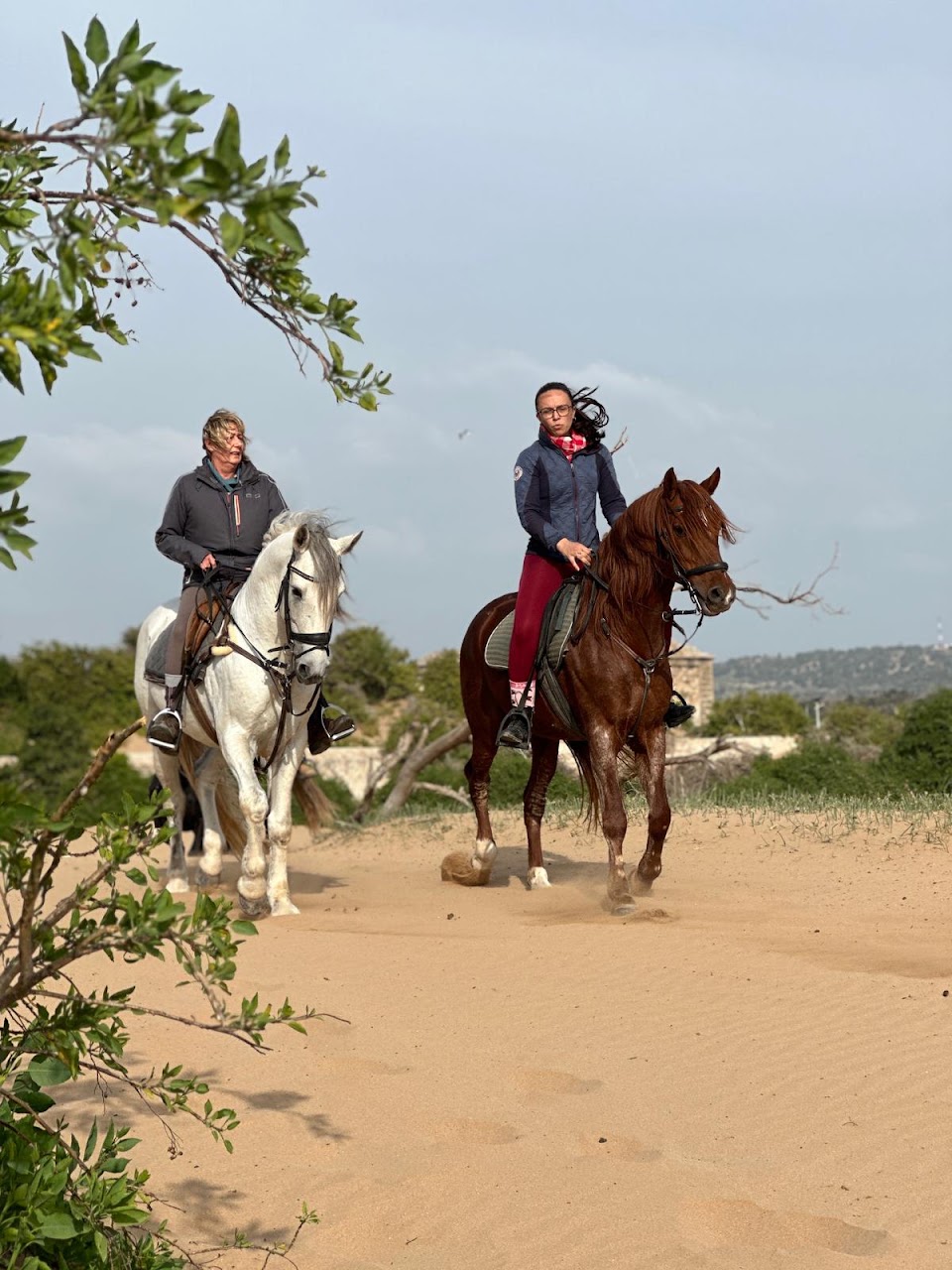 Horse4ever.essaouira