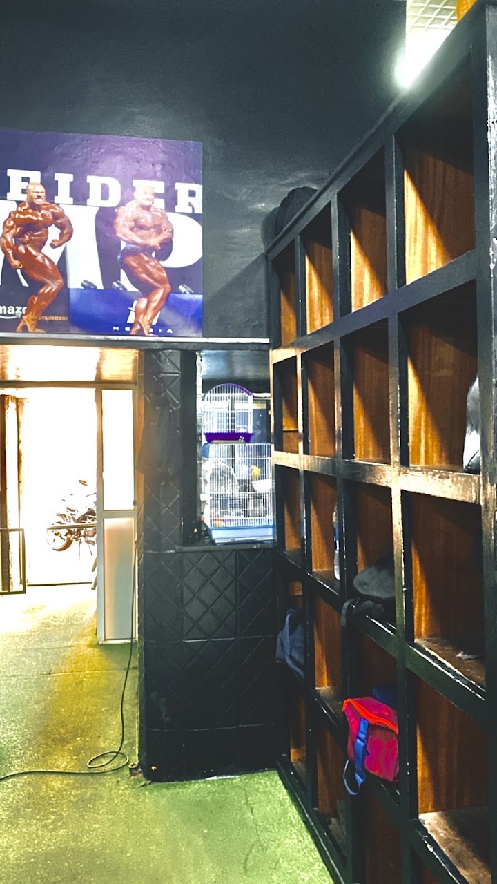 Adam Gym — photo 2