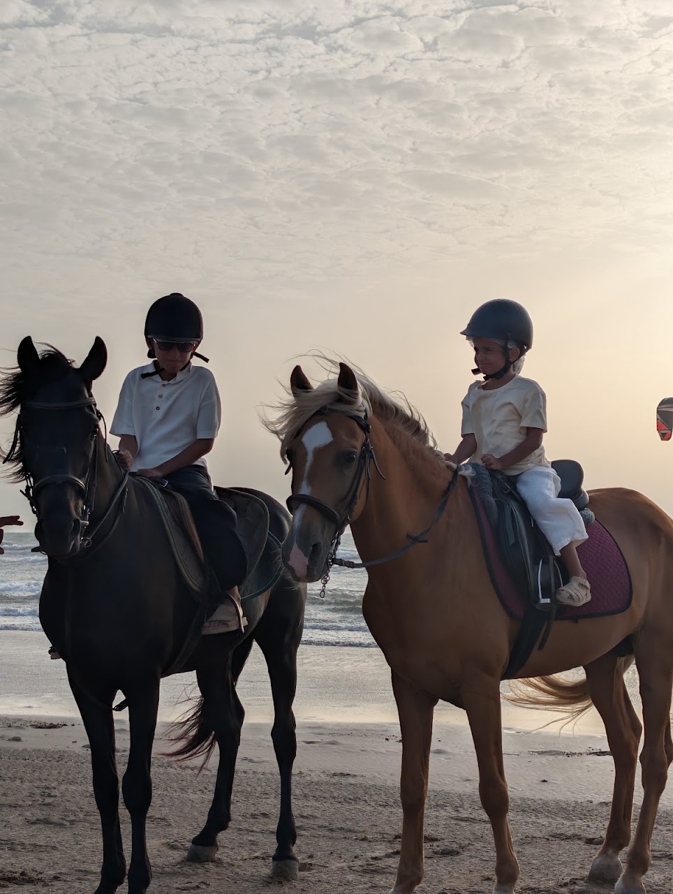 Horse Adventure Essaouira — photo 3