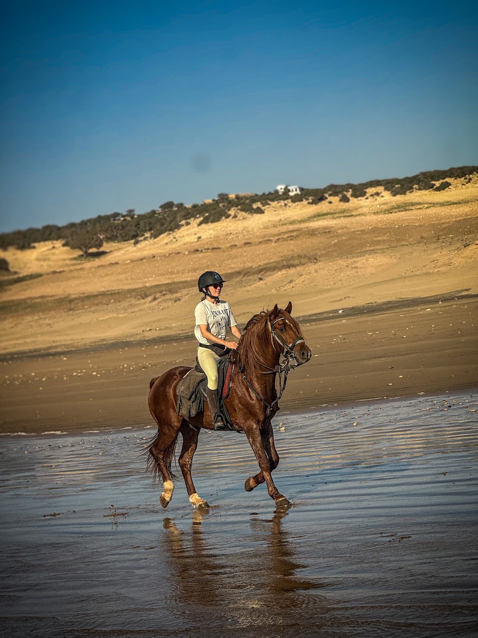 Essaouira Horse Escape — photo 3
