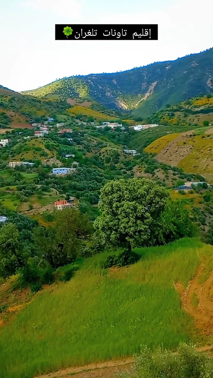 نادي الصداقة لكمال الأجسام — photo 3