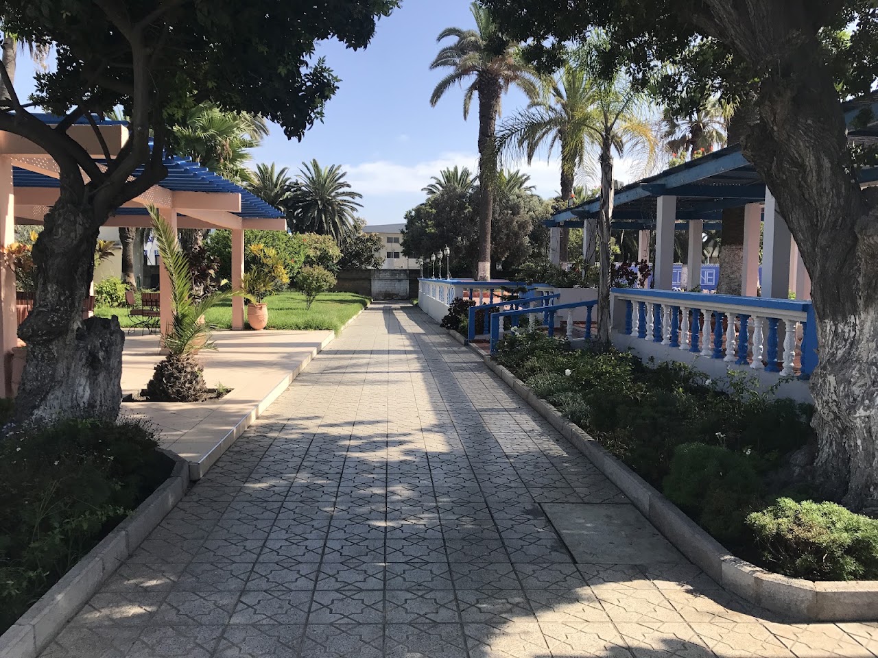 Club Sportif des Electriciens / ONE — photo 4