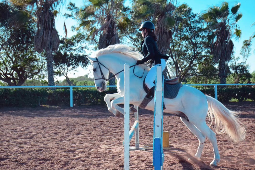 The Ferme Equestre Dar Bouazza — photo 3