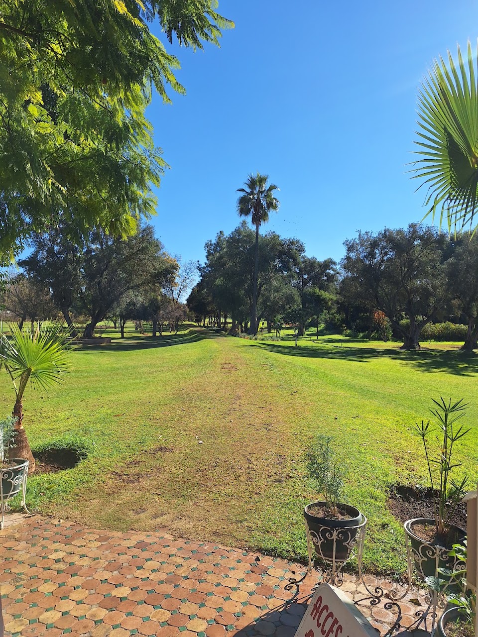 Royal Golf de Meknes — photo 4