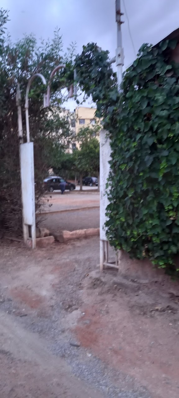 نادي الزهور للكرة الحديدية الأزهار-ACAPA — photo 4
