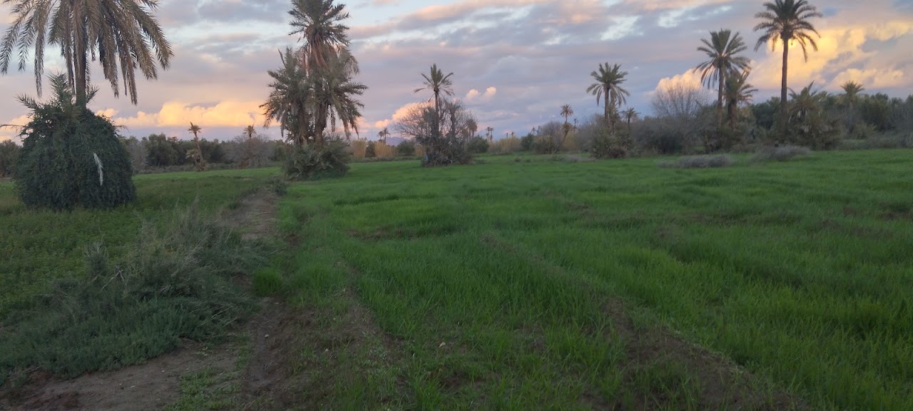 Premium Horse & Quad Tours in Marrakech Palmeraie — photo 4