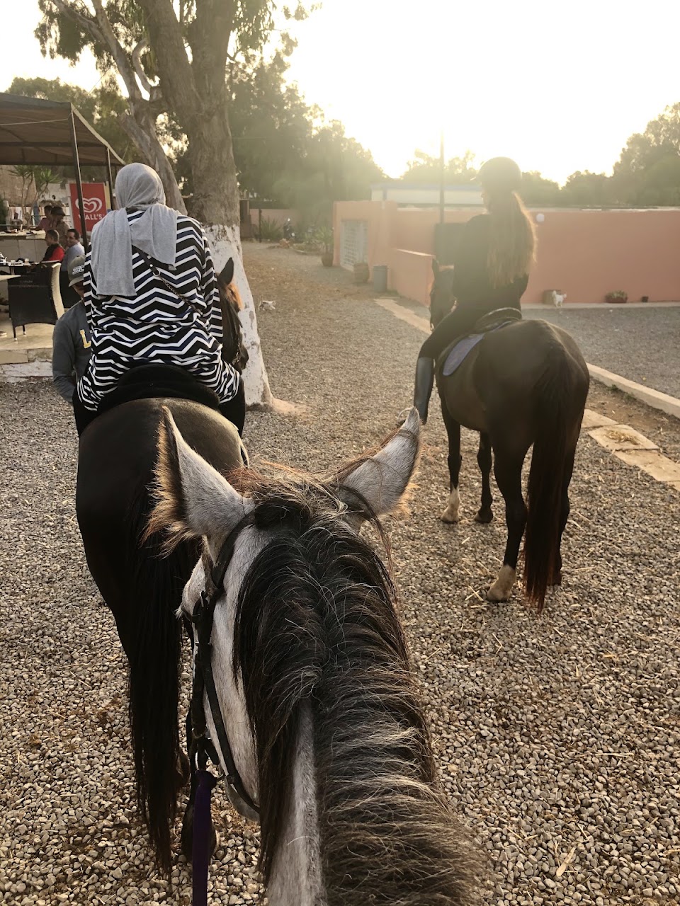 Royal Club Equestre Anfa Casablanca