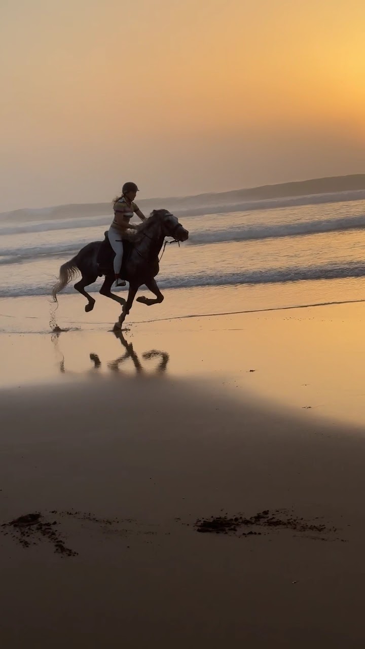 Ocean Ranch — photo 2