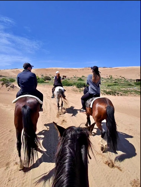 PARADISO HORSE CLUB — photo 3