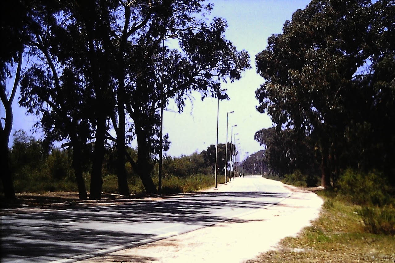 Running Course , Ouad Souss