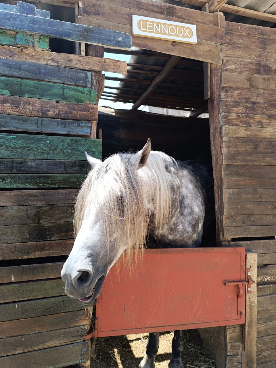 Ocean Ranch — photo 3